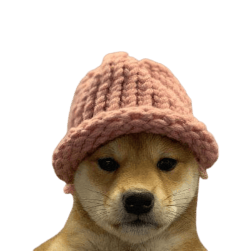 Dogwifhat